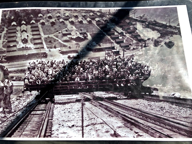 Views of the lake from the boat and surroundings