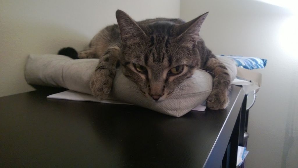 image from Categories